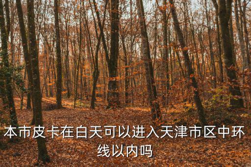 國三皮卡能進天津市區不，本市皮卡在白天可以進入天津市區中環線以內嗎