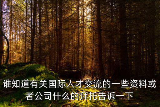 誰知道有關國際人才交流的一些資料或者公司什么的拜托告訴一下