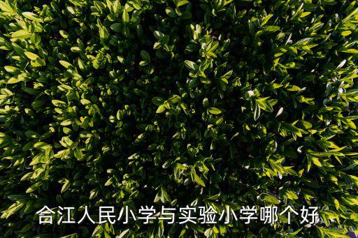 成都市天府區(qū)合江小學(xué)，四川合江是不是邵明學(xué)校啊