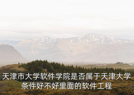 天津市大學軟件學院是否屬于天津大學條件好不好里面的軟件工程