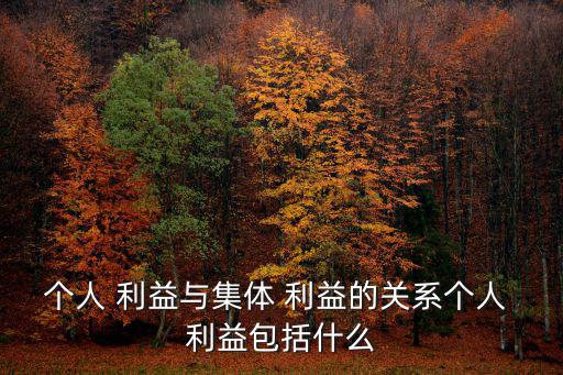 個人 利益與集體 利益的關系個人 利益包括什么
