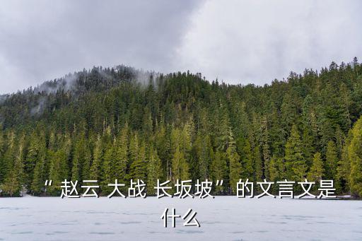 趙云大戰長坂坡,三國演義:趙子龍趙云大戰長坂坡