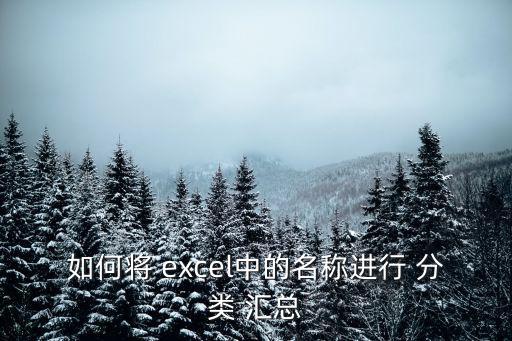 如何將 excel中的名稱進行 分類 匯總