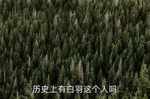 歷史上有白羽這個人嗎