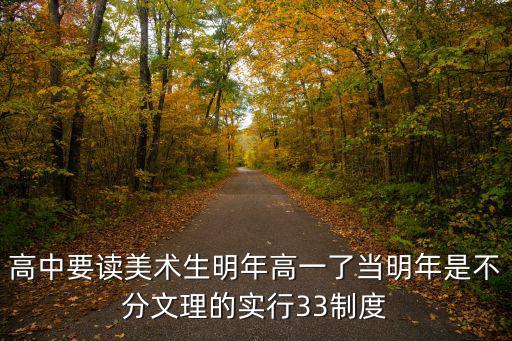 高中要讀美術生明年高一了當明年是不分文理的實行33制度