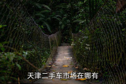 天津二手車市場在哪有