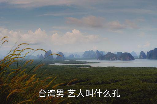  臺(tái)灣男 藝人叫什么孔
