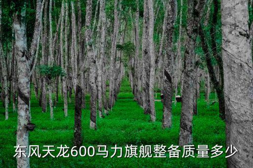 東風天龍600馬力旗艦整備質量多少
