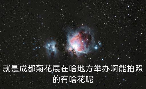 成都市有哪個公園有菊展或花展，成都市今年菊花展在哪里