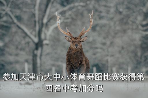 參加天津市大中小體育舞蹈比賽獲得第四名中考加分嗎