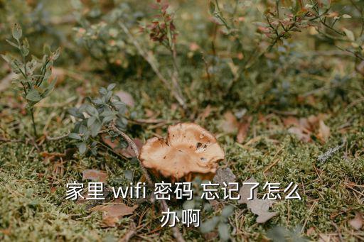  家里 wifi 密碼 忘記了怎么辦啊