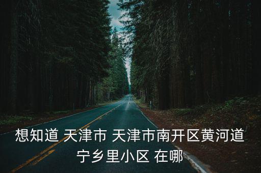 想知道 天津市 天津市南開區黃河道寧鄉里小區 在哪