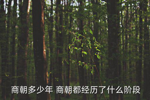 商朝,商朝第十四代子孫是夏朝之后所建國朝叫商朝
