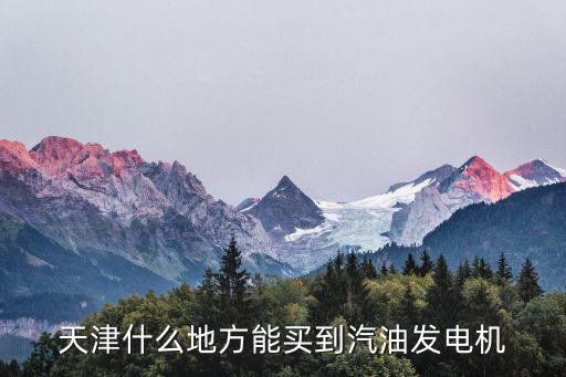 天津什么地方能買到汽油發電機