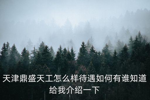 天津鼎盛天工怎么樣待遇如何有誰知道給我介紹一下