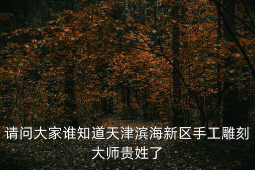 請(qǐng)問大家誰知道天津?yàn)I海新區(qū)手工雕刻大師貴姓了