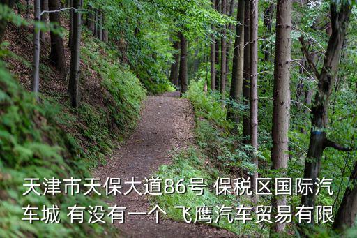 天津市天保大道86號(hào) 保稅區(qū)國(guó)際汽車城 有沒有一個(gè) 飛鷹汽車貿(mào)易有限