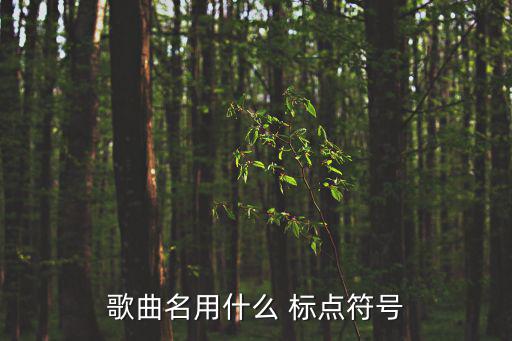 歌曲名用什么 標點符號