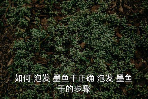 如何 泡發(fā) 墨魚干正確 泡發(fā) 墨魚干的步驟