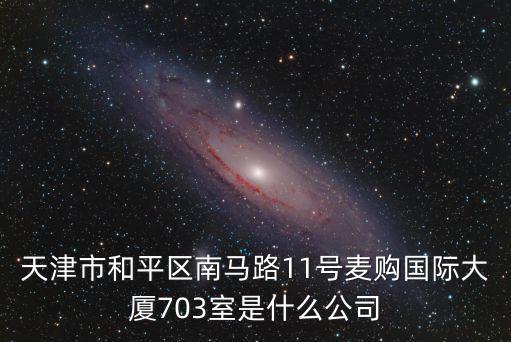 天津市和平區南馬路11號麥購國際大廈703室是什么公司