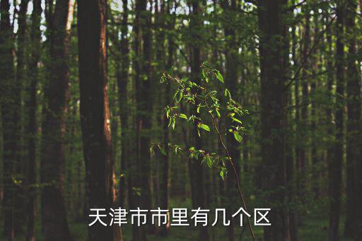 天津市市里有幾個區