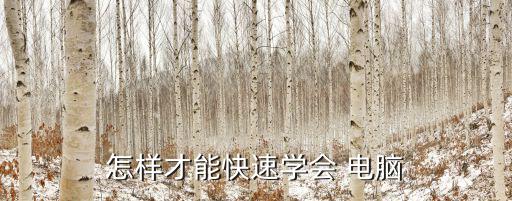 怎樣才能快速學會 電腦