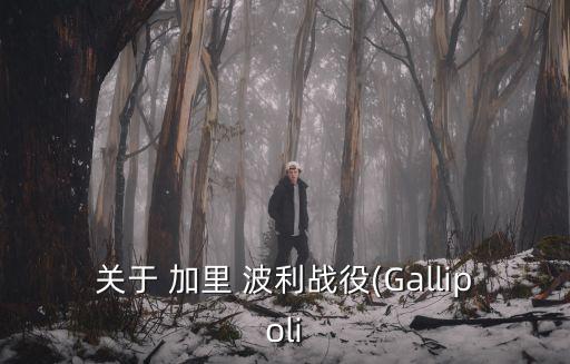 關于 加里 波利戰役(Gallipoli