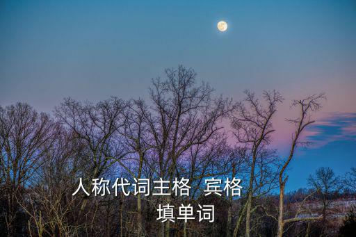 人稱代詞主格  賓格          填單詞
