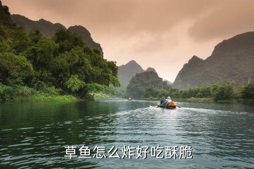 炸草魚,怎么做油炸鮮魚件好吃又脆?