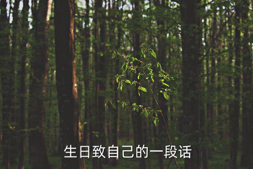 生日的說說致自己,祝自己生日快樂句子