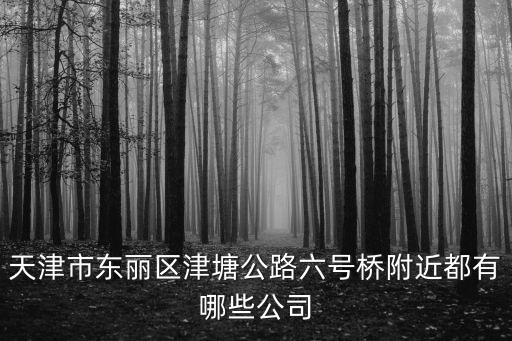天津市東麗區(qū)金發(fā)達(dá)鞋業(yè)，天津東麗區(qū)哪里賣回力鞋