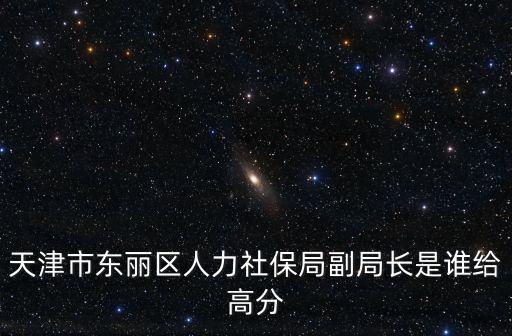 天津市東麗區(qū)人力社保局副局長是誰給高分