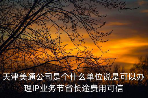 天津美通公司是個什么單位說是可以辦理IP業務節省長途費用可信