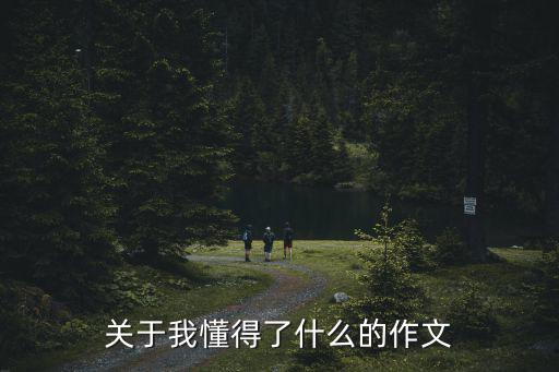 關于我懂得了什么的作文