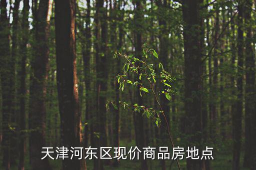 天津市河?xùn)|區(qū)金地紫云庭，天津河?xùn)|區(qū)現(xiàn)價商品房地點