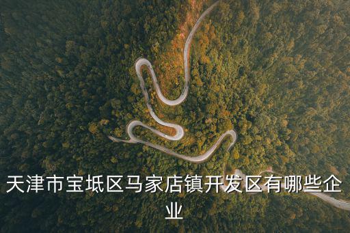 天津市寶坻區馬家店鎮開發區有哪些企業
