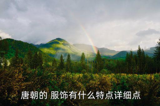  唐朝的 服飾有什么特點詳細點