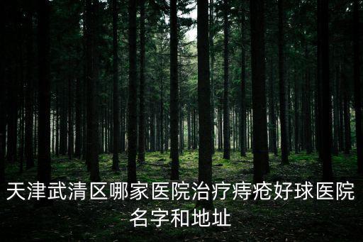 天津武清區哪家醫院治療痔瘡好球醫院名字和地址