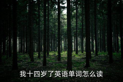14的英文怎么讀，14yingyu怎么讀