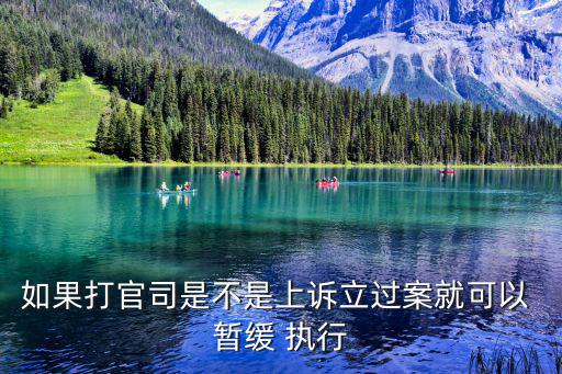 暫緩執(zhí)行申請(qǐng)書(shū),向檢察院或法院提起再審或上訴都不會(huì)影響執(zhí)行