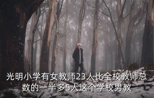 天津市光明小學女班主任張遠，光明小學有女教師23人比全校教師總數的一半多5人這個學校男教