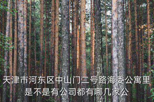 天津市河東區中山門二號路海委公寓里是不是有公司都有哪幾家公