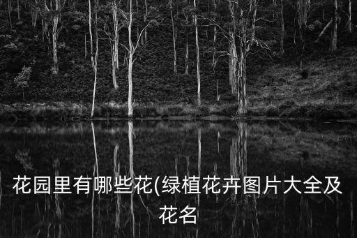 花園里有哪些花(綠植花卉圖片大全及花名