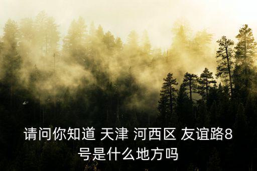 請問你知道 天津 河西區(qū) 友誼路8號是什么地方嗎