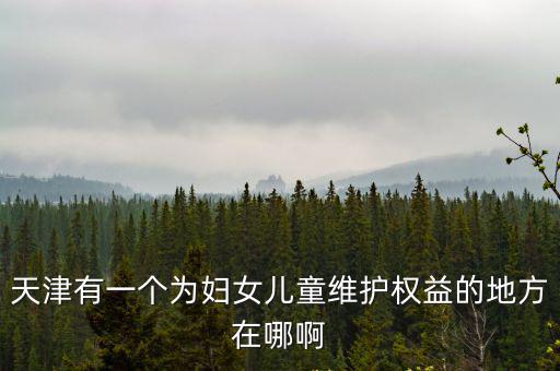 天津有一個為婦女兒童維護(hù)權(quán)益的地方在哪啊