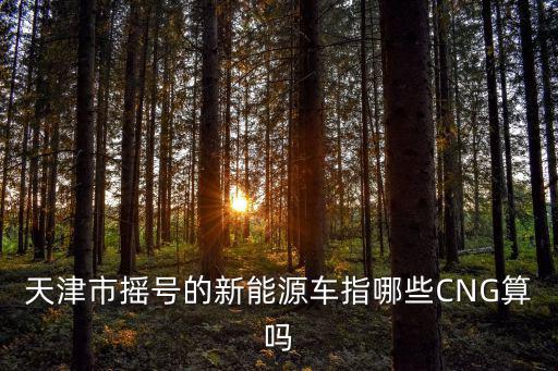 天津市搖號的新能源車指哪些CNG算嗎