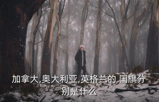 英國國旗圖片,愛爾蘭十字旗再次融合形成今天的英國旗