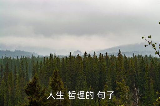 關于人生哲理的句子,死者最后一名遇難者的遺言