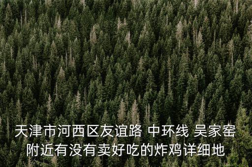 天津市河西區友誼路 中環線 吳家窯附近有沒有賣好吃的炸雞詳細地