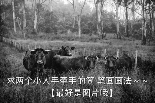 求兩個(gè)小人手牽手的簡 筆畫畫法～～【最好是圖片哦】